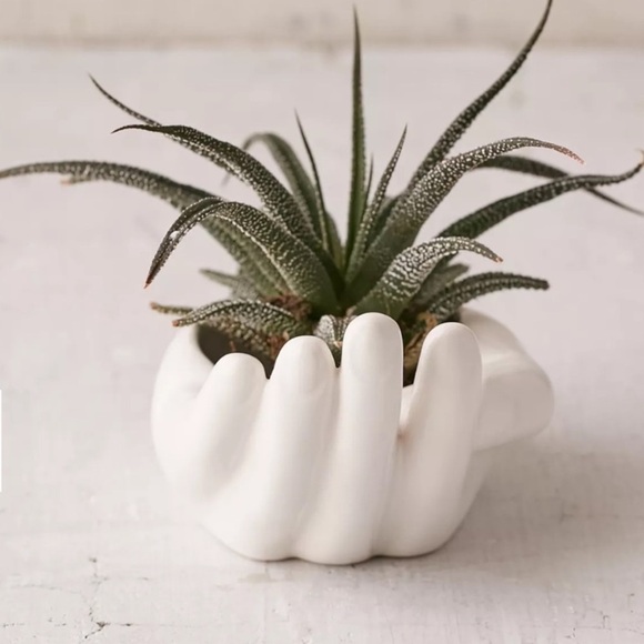Urban Outfitters Hand dish 🪴 - Picture 1 of 7